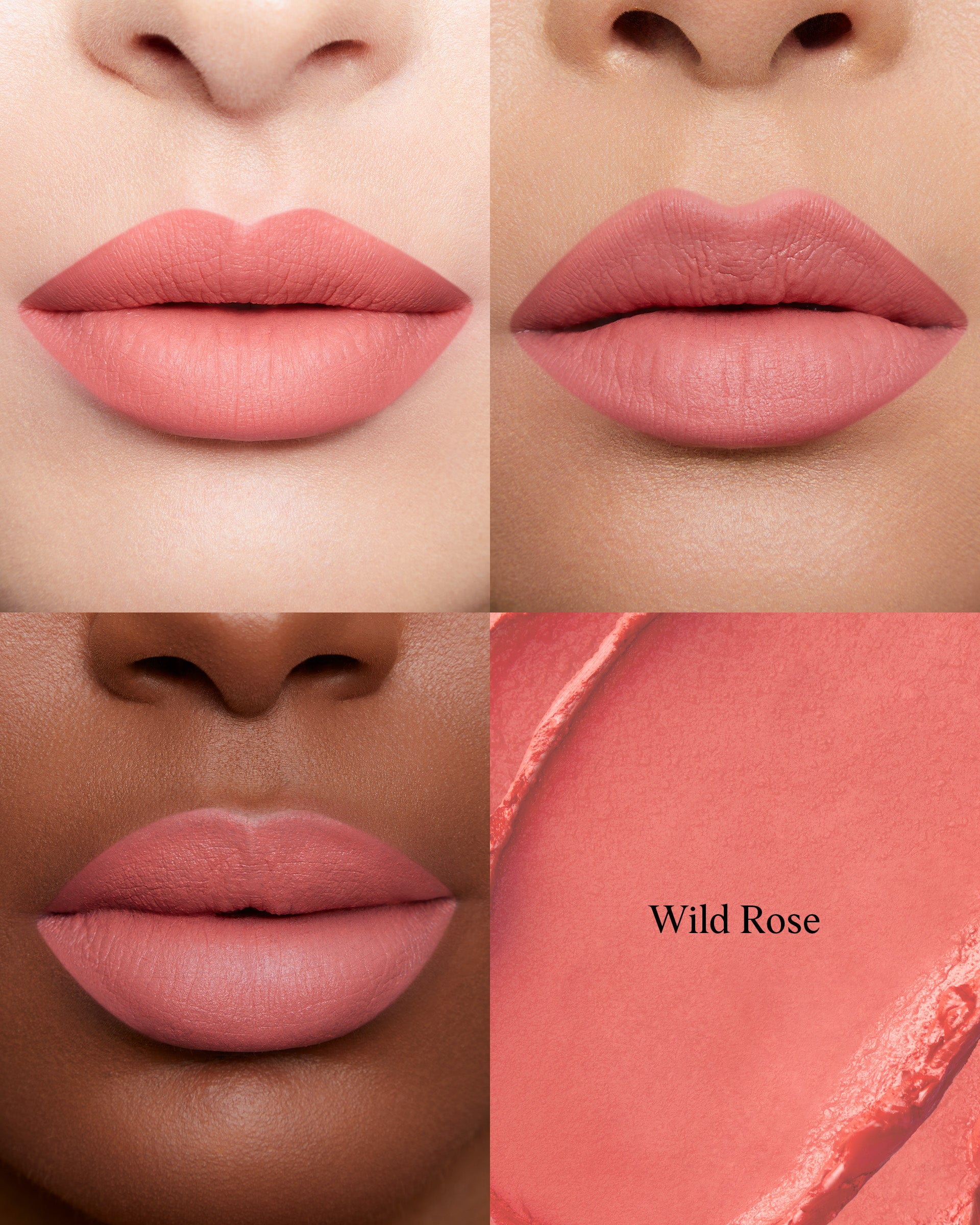 #shade_Wild Rose